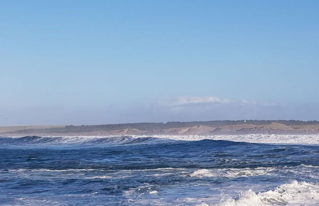 Apartment 65B - Photo 12