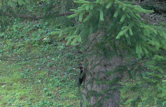 Restful Holiday Home in Vrbovsko - Photo 28