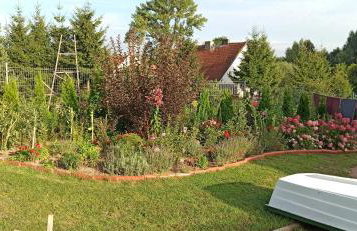 Agroturystyka Pokój na Skarpie - Foto 9