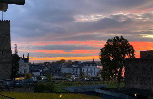 Ferienwohnung „Die 3 am Rhein“ - Foto 1