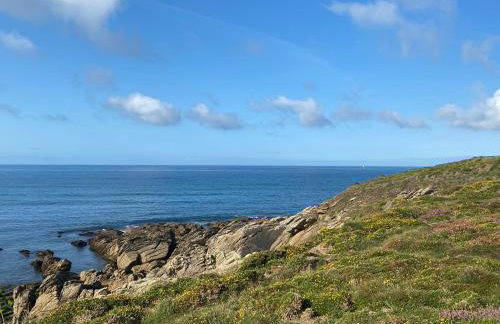 Maison jardin bord de mer Bretagne authentique - Foto 48