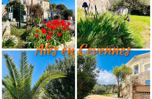 Le domaine des Oliviers ALES Piscine Jacuzzi Sauna - Foto 17