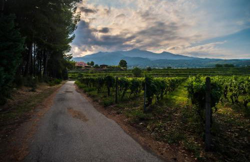 Agriturismo Tenuta San Michele - Foto 74