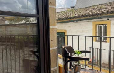 El Buen Porvenir Casa Palacio en Jerez - Foto 7