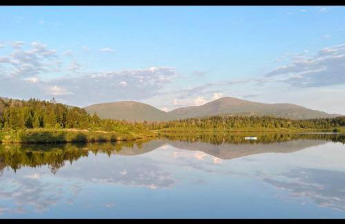 5a Plantation Road - Foto 31