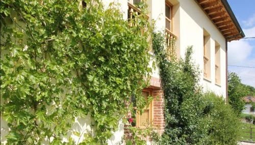 Casa Usborne - Foto 2, Garden