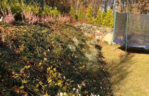 Domek pod Dębami Bogaczewo - Foto 35