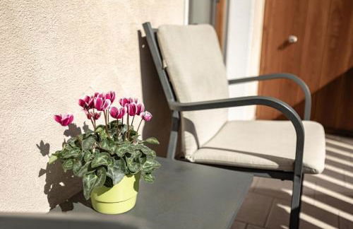 Apartments Soval - Foto 2