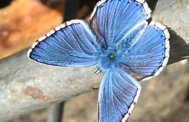 Ferienwohnung Aussicht, Monheimer Alb, Altmühltal - Foto 16