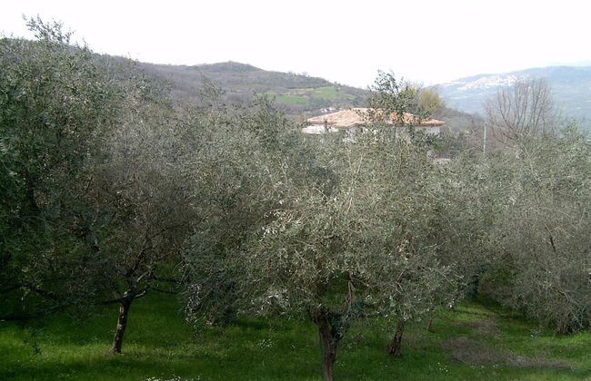 Agriturismo le Cammarose - Photo 21