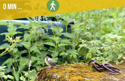 Gîte écologique proche Rocamadour & Gouffre de Padirac Vue vallée Dordogne - Foto 34