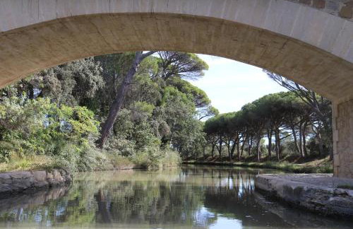 Village villa, private pool, canal du midi - Foto 41