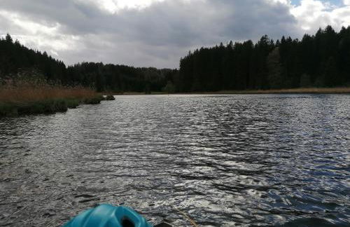 Ferienwohnung Allgäuflair - Foto 11