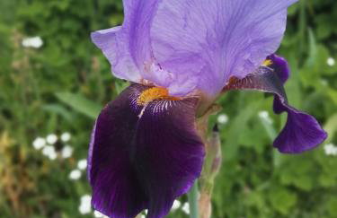 Ferienhaus ROSENHOF Vulkaneifel - Foto 23