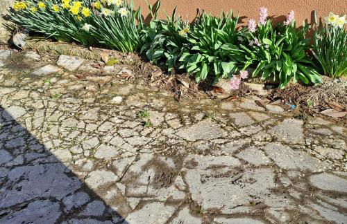 Casa Sorelle Baiocchi - Foto 44