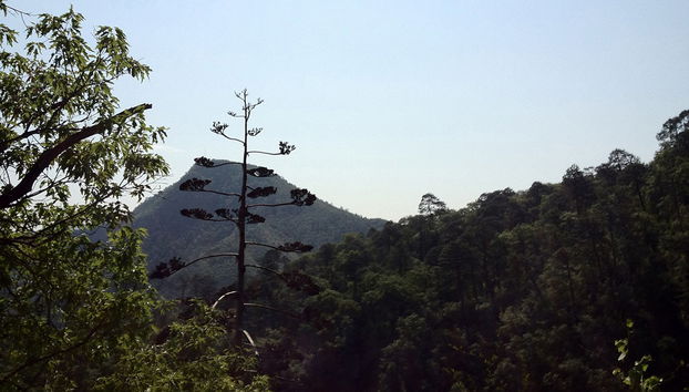 Tour de Chipinque - Foto 2