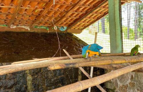 Casa de Campo Ibiúna Fazenda Vale Dourado - Photo 23