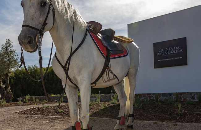 Quinta da Amendoeira - The Farmhouse - Photo 34