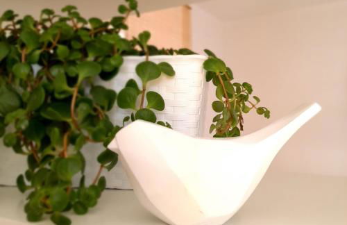 Casa Vinte & Cinco - Alojamento Local - Foto 45