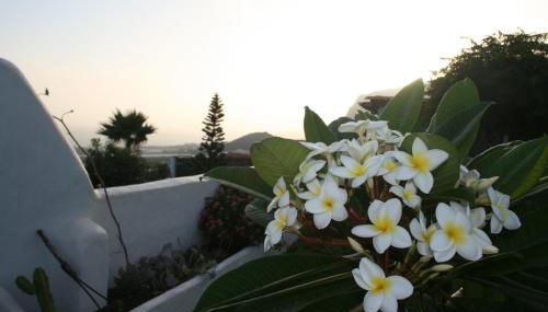 Finca las Mariposas - Foto 2, Garden view