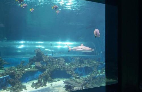 Apartament "DESTINATION" przy AQUAPARKu - Foto 31