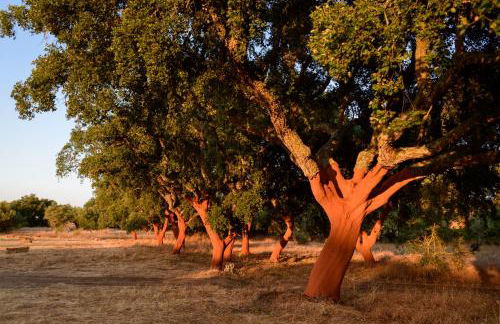 A Casa do Governador - Foto 90