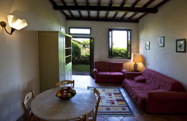 Podere il Pino - Foto 34