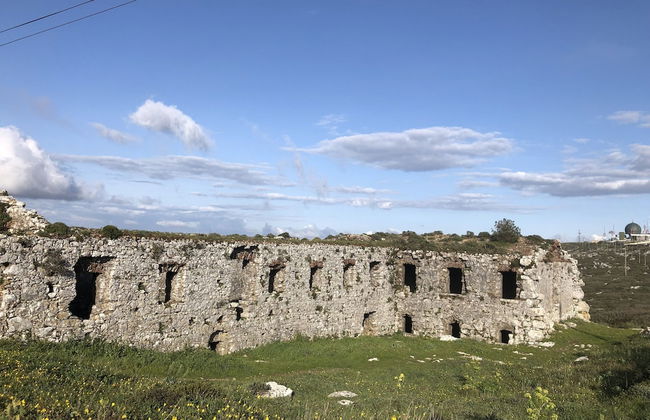 Terra Luso - Foto 62