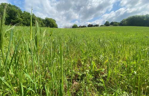 Le bon chemin Ateliers - Foto 31