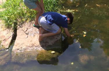 Thatch Close Cottages - Foto 7