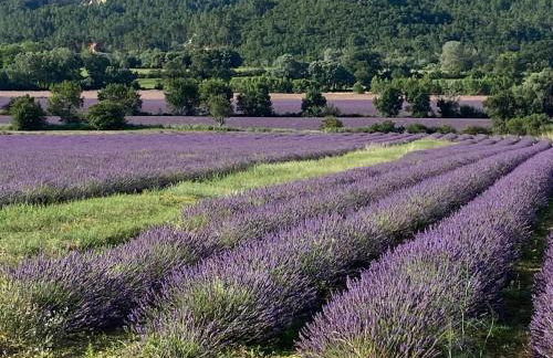 Maison de village, piscine, Colorado - Foto 38