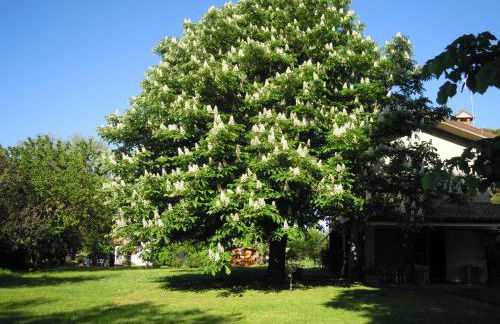 Holiday Home Giaron - Foto 10