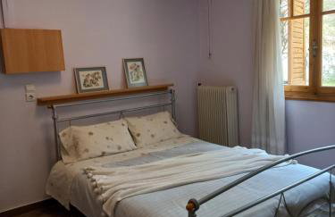 Σπίτι σε ελαιώνα, house in an olive grove - Foto 14