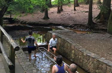Ferienwohnung Flegessen Weserbergland - Foto 25