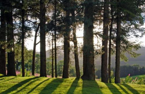 1 Bed in Blacklunans CA361 - Foto 14