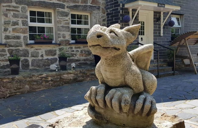 Snowdonia-3bedroom-2 Bathroom-petfriendly-garden - Photo 23