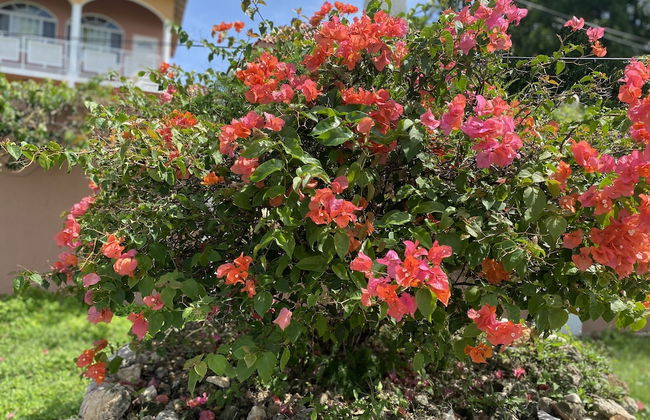 YanceyLargo-6BR Two-Story Estate w/Mountain Views by RedAwning - Foto 39