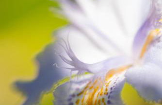 Casas Da Vereda - Foto 25