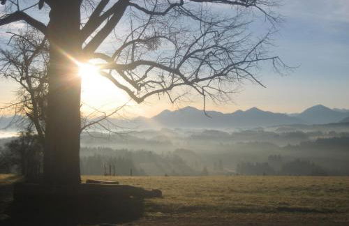 Ferien beim Baur - Foto 16