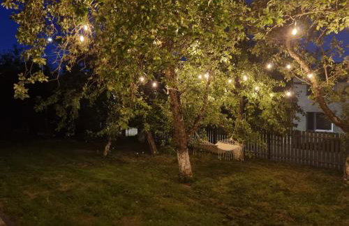 W Małym Sadzie - Foto 19