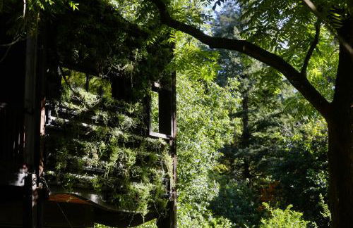 Zero Zero Treehouse - Foto 7