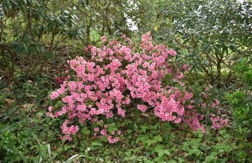 Le Clos Crista Galli - Foto 25