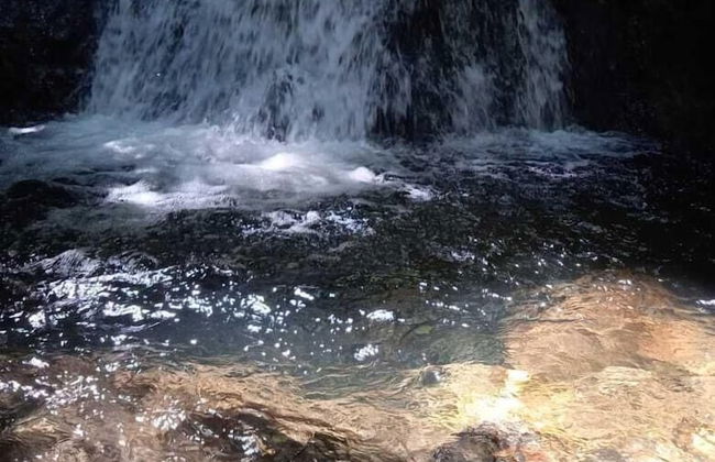 Rumipamba del Zuro Casa Hacienda - Photo 22