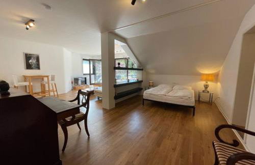 Große Loft- Wohnung Glück im Grünen - Foto 25