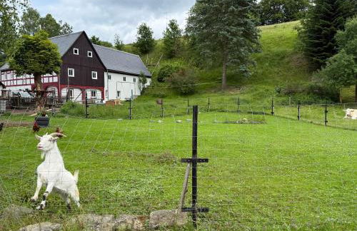 Naturhof Kluge - Foto 58