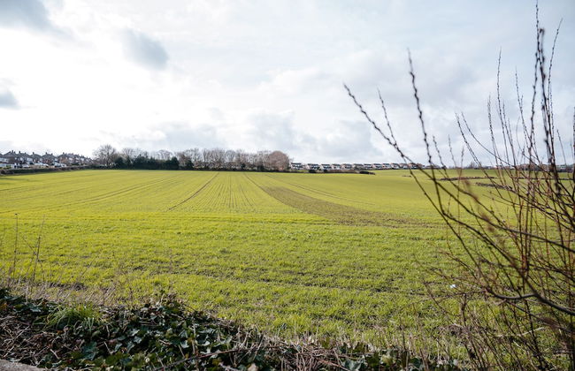 Highfield Lodge - Foto 32