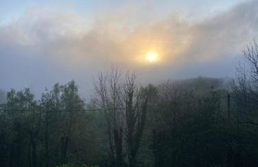 Maison en pierre dans le Sidobre - Foto 24