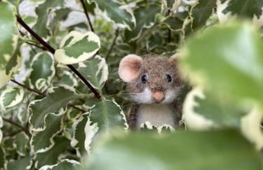 Lily l'Acrobate Aubagne-Cassis-Aix en Provence - Foto 49