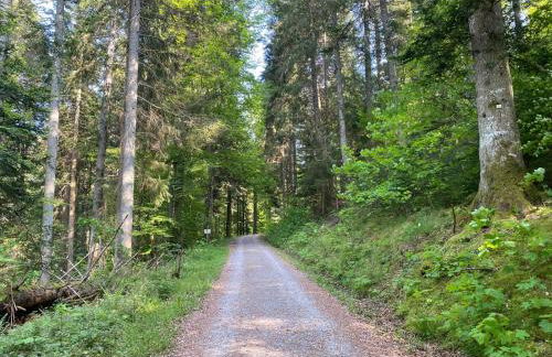 Schwarzwaldhaus Zwink - Foto 13