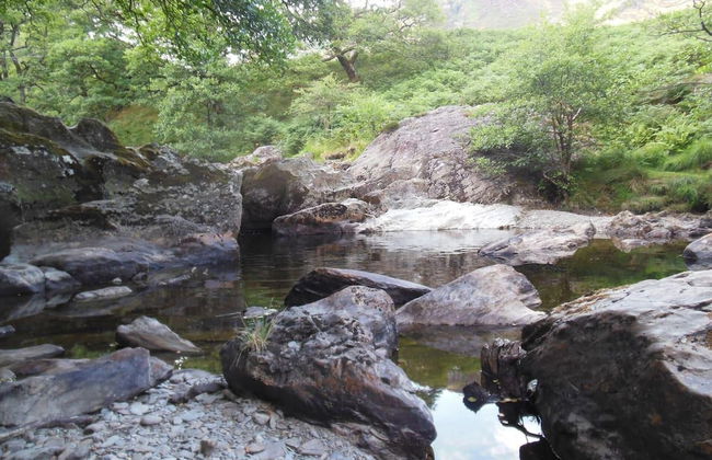 Relaxing pet Friendly 2-bed Cottage in Rhandirmwyn - Foto 27